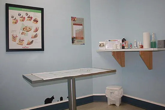 Clover Hill Animal Hospital Picture 4