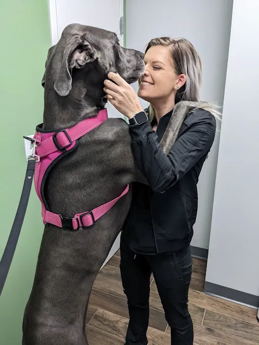 Clover Hill Animal Hospital Picture 6