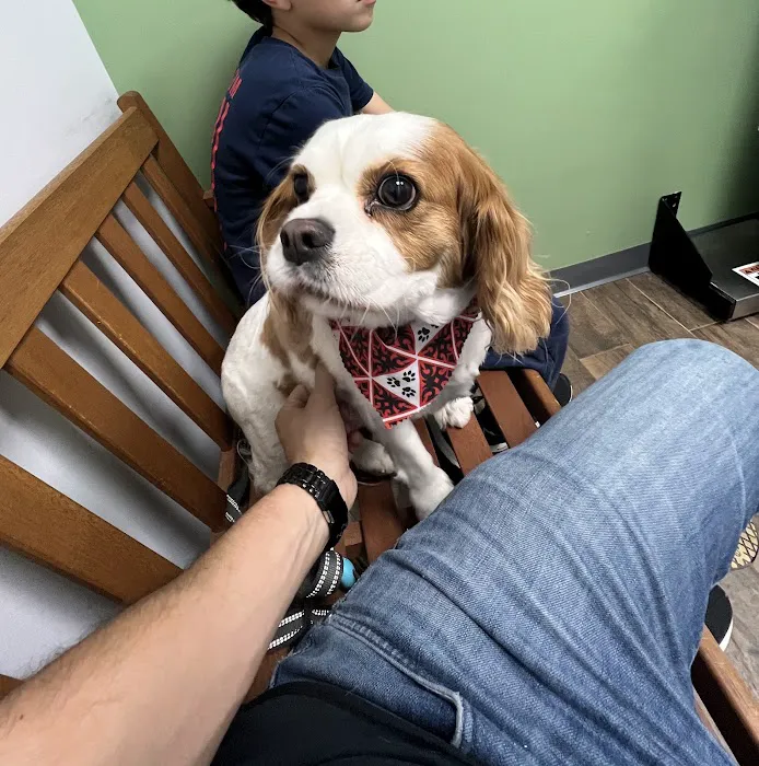 Clover Hill Animal Hospital Picture 7