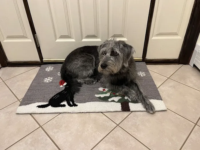 Clover Hill Animal Hospital Picture 9