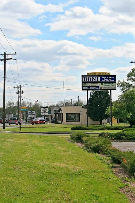 Clover Hill Animal Hospital Picture 8