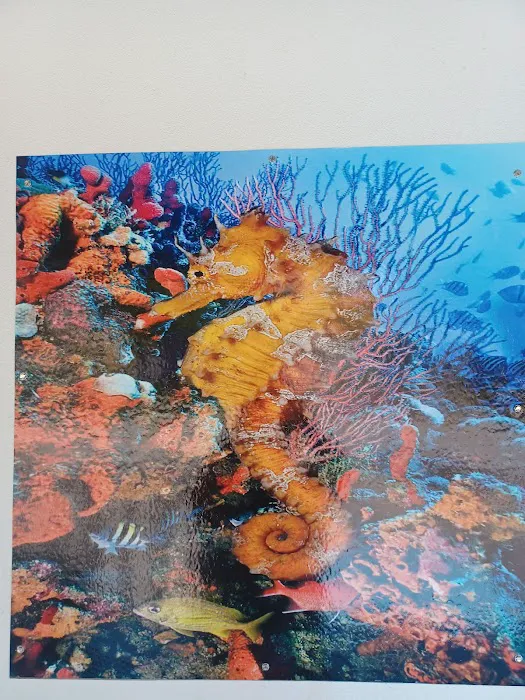 aquatic visions Picture 3