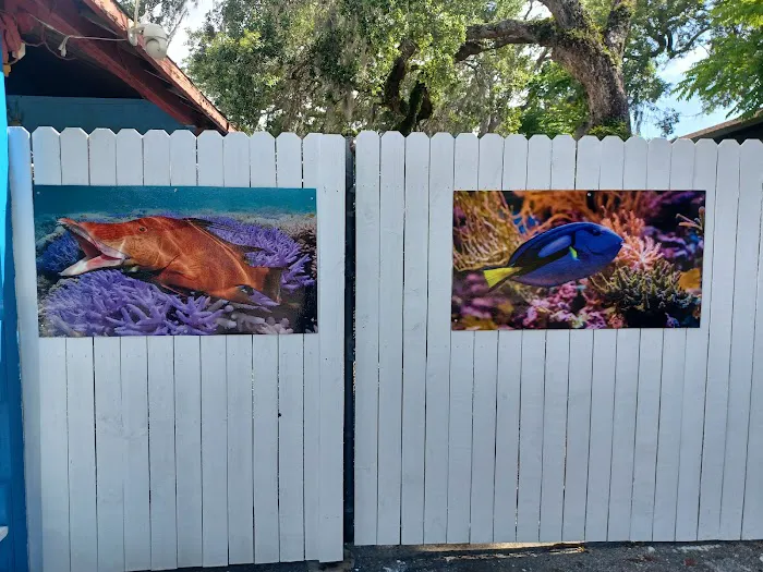 aquatic visions Picture 6