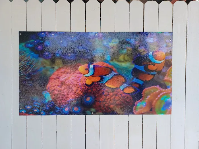 aquatic visions Picture 5