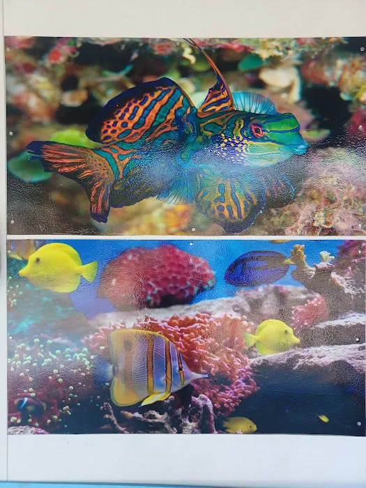 aquatic visions Picture 4