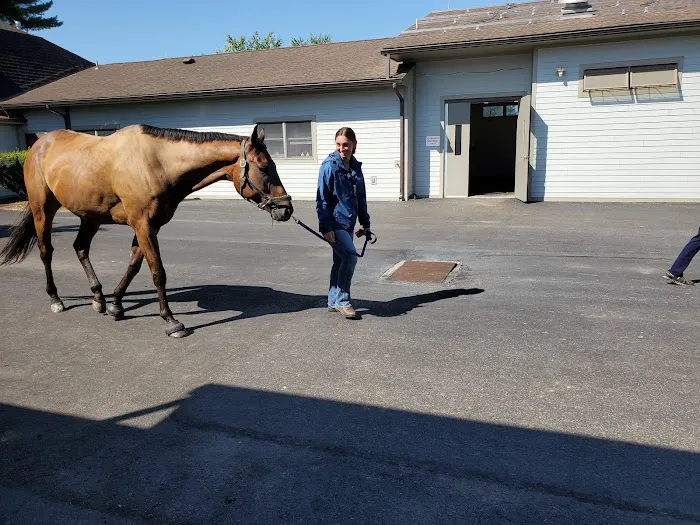 Mid-Atlantic Equine Medical Center Picture 4