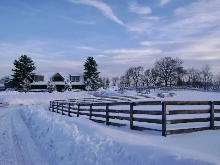 Mid-Atlantic Equine Medical Center Picture 5