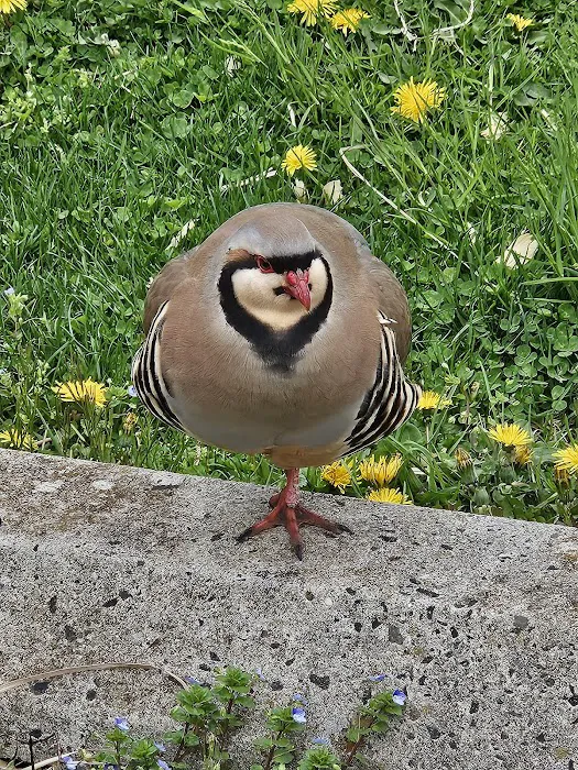 Mid-Atlantic Equine Medical Center Picture 8