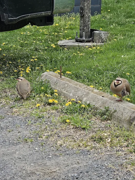 Mid-Atlantic Equine Medical Center Picture 7
