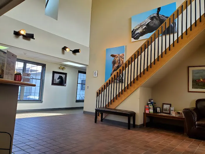 Mid-Atlantic Equine Medical Center Picture 9