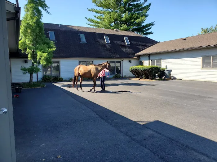 Mid-Atlantic Equine Medical Center Picture 6