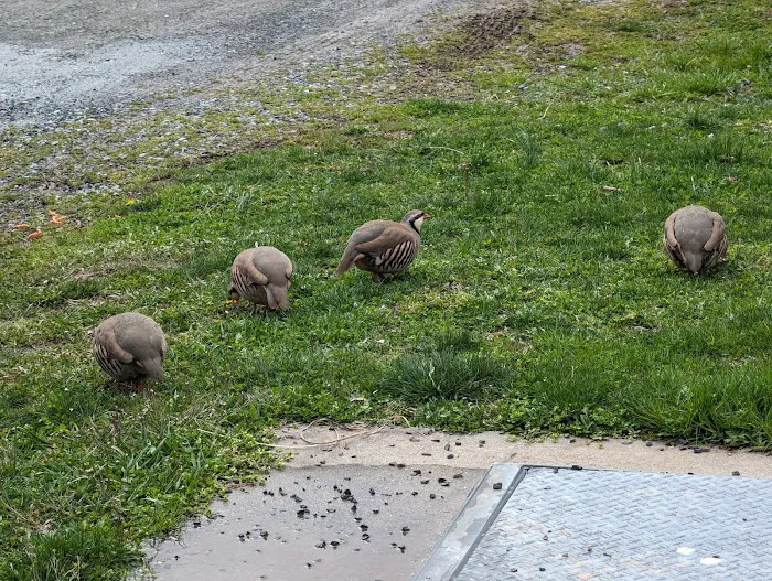 Mid-Atlantic Equine Medical Center Picture 10
