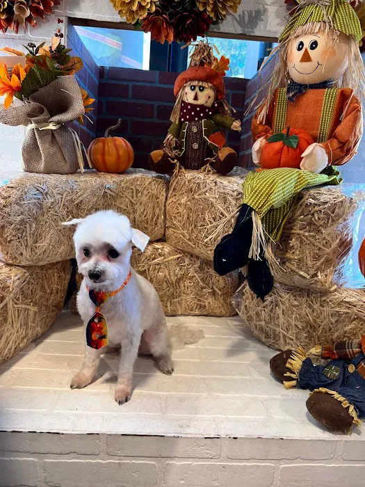 Max's Pet Market & Salon Picture 1