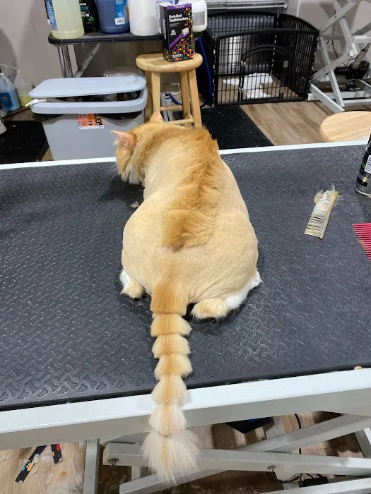 Max's Pet Market & Salon Picture 5