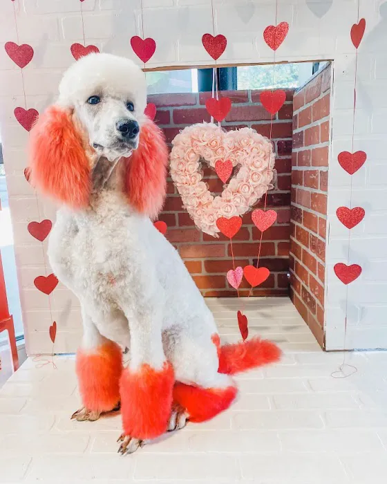 Max's Pet Market & Salon Picture 4