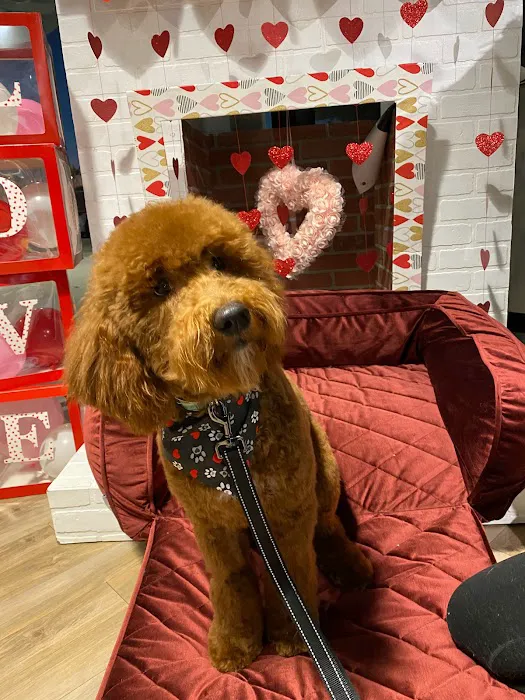 Max's Pet Market & Salon Picture 8