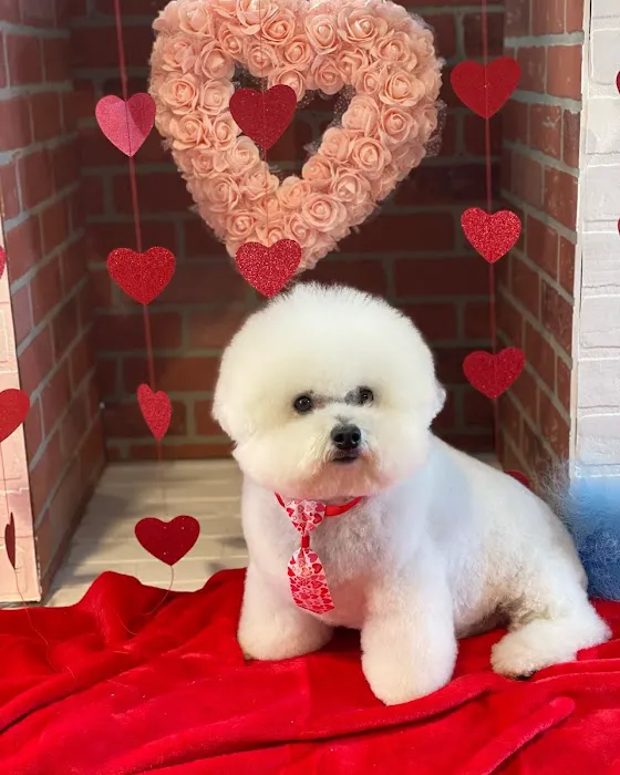 Max's Pet Market & Salon Picture 9