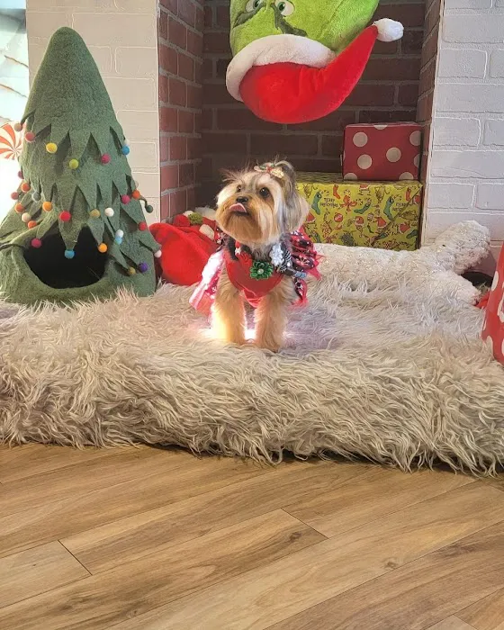 Max's Pet Market & Salon Picture 10