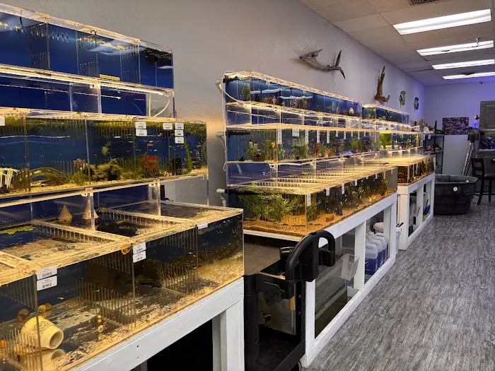 What's In Your Tank Picture 3