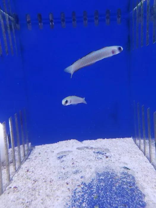 What's In Your Tank Picture 2