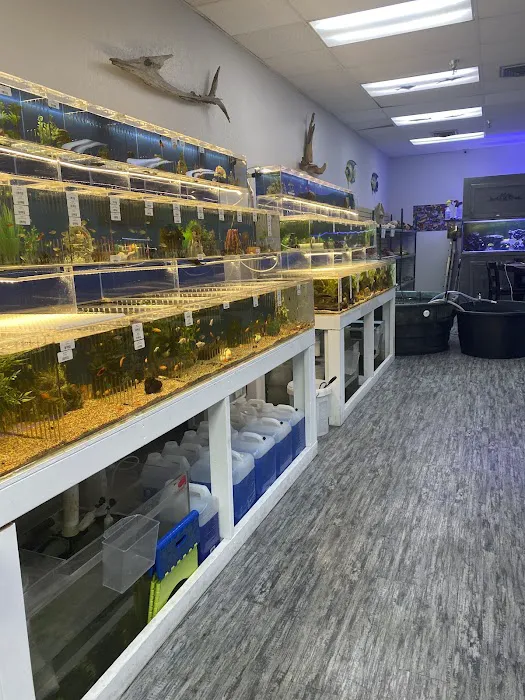 What's In Your Tank Picture 5