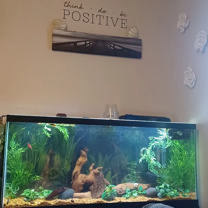 What's In Your Tank Picture 6