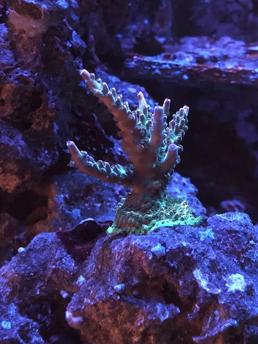 What's In Your Tank Picture 4