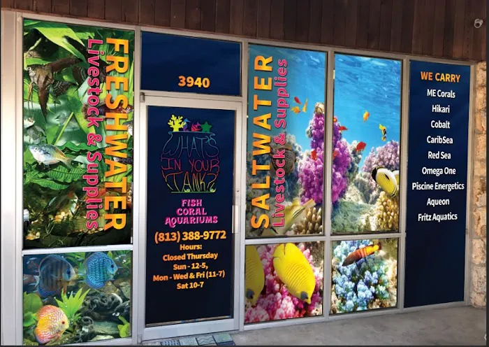 What's In Your Tank Picture 9