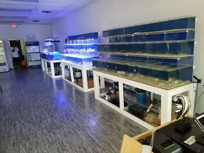 What's In Your Tank Picture 8