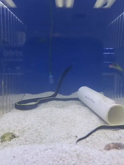 What's In Your Tank Picture 7