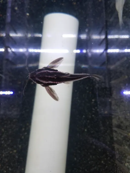 What's In Your Tank Picture 10