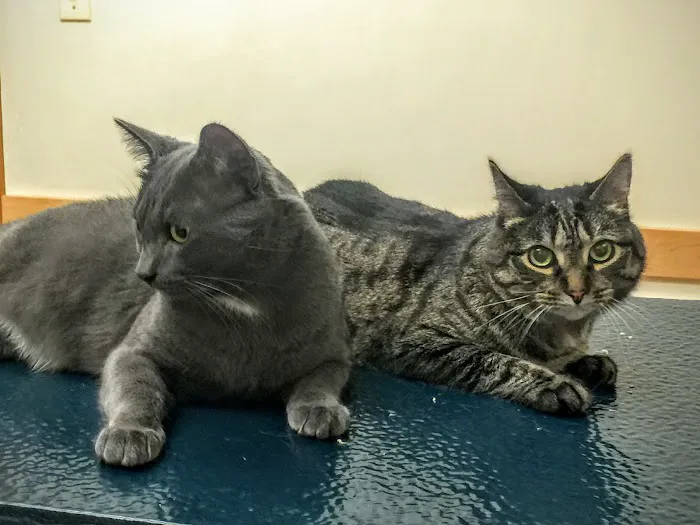 Washington Crossing Animal Hospital Picture 1