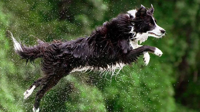 Washington Crossing Animal Hospital Picture 5