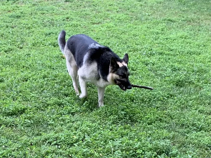 Washington Crossing Animal Hospital Picture 7