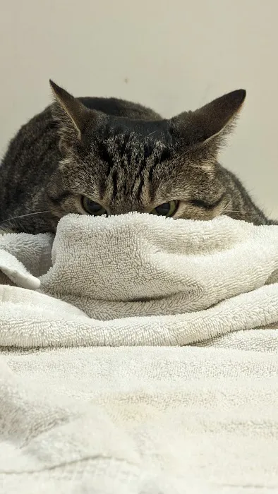 Washington Crossing Animal Hospital Picture 8