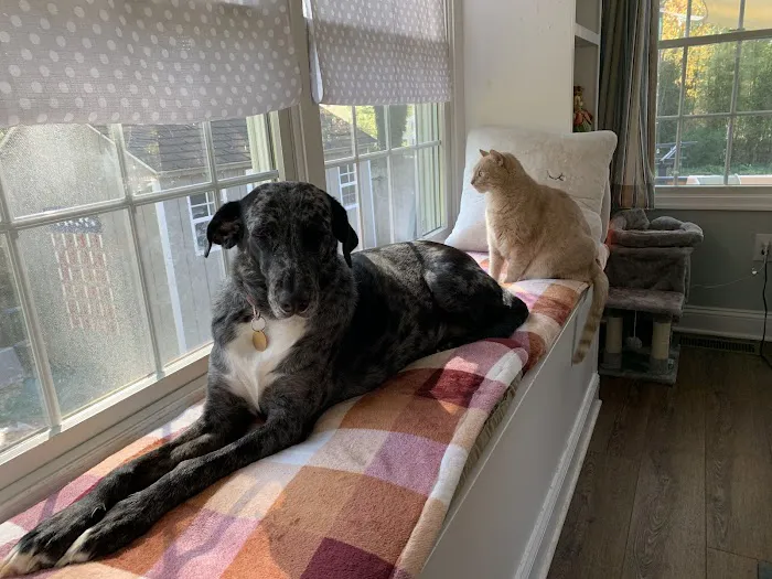 Washington Crossing Animal Hospital Picture 9