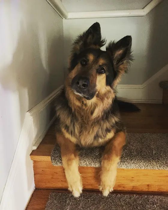 Washington Crossing Animal Hospital Picture 10