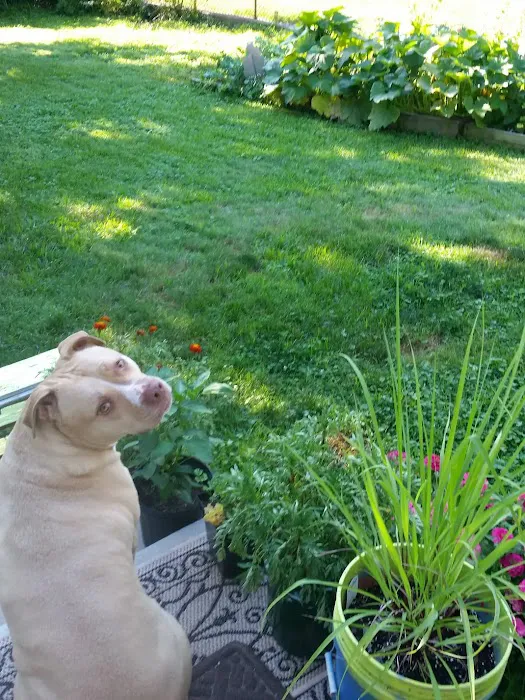 Ewing Veterinary Hospital Picture 3