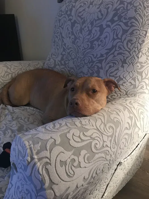 Ewing Veterinary Hospital Picture 2