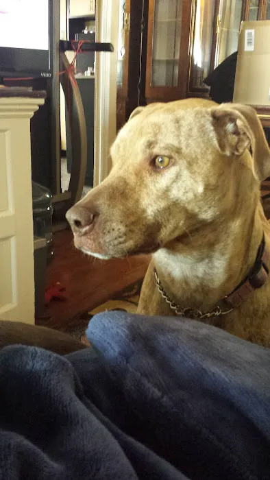 Ewing Veterinary Hospital Picture 1