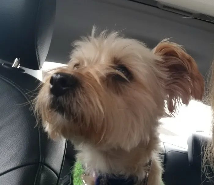 Ewing Veterinary Hospital Picture 4