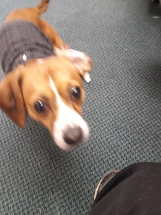 Ewing Veterinary Hospital Picture 6