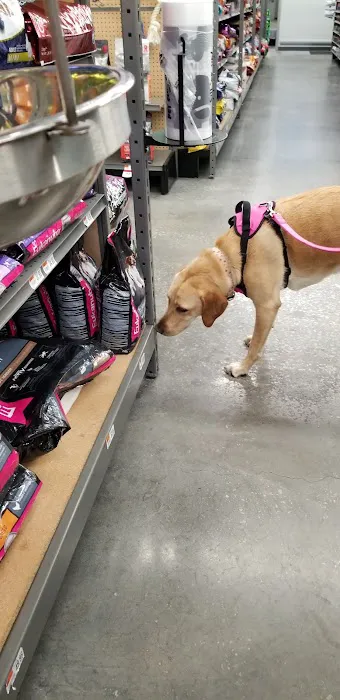 Pet Supplies Plus Land O'Lakes Picture 1