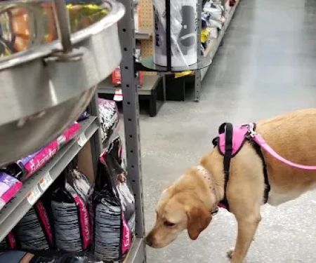 Pet Supplies Plus Land O'Lakes