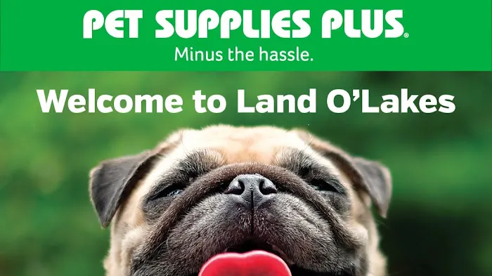Pet Supplies Plus Land O'Lakes Picture 3