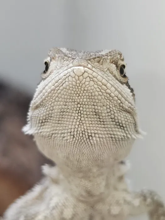 Pet Supplies Plus Land O'Lakes Picture 10