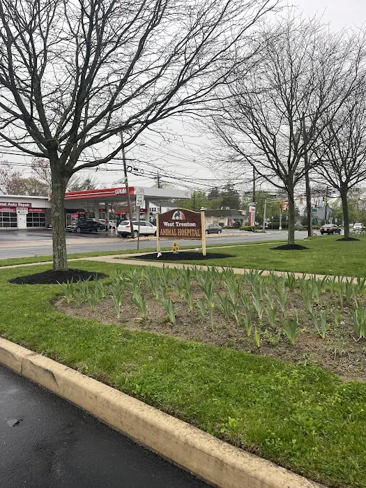 West Trenton Animal Hospital Picture 7