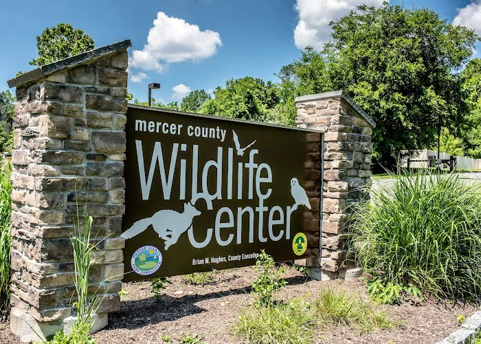 Wildlife Center Friends Picture 1