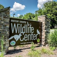 Wildlife Center Friends ico
