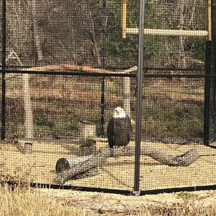 Wildlife Center Friends Picture 2
